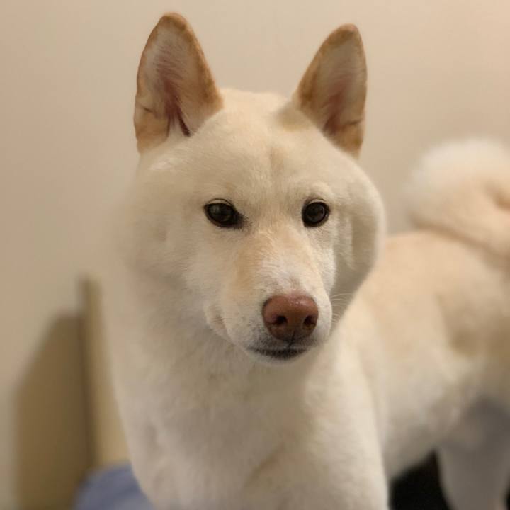 2463d307 7705 4a52 815e 831ef0914573 1555026620030