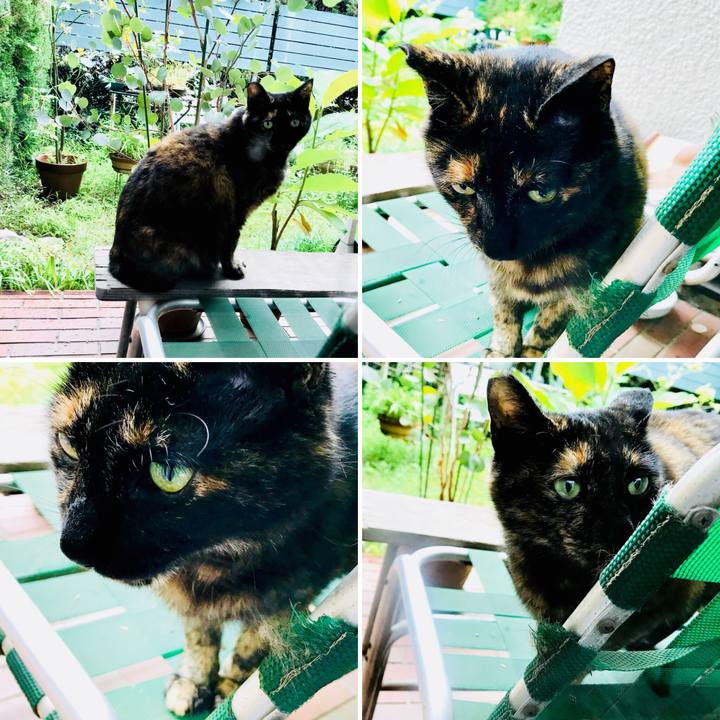 2463d910 a95a 494f afa8 5f3c0493c3ce 1529737182535