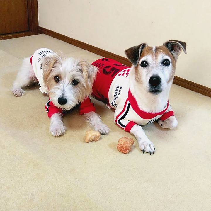 2463ed6a cd91 4406 a3fc 09bd3e213fac 1541928033021