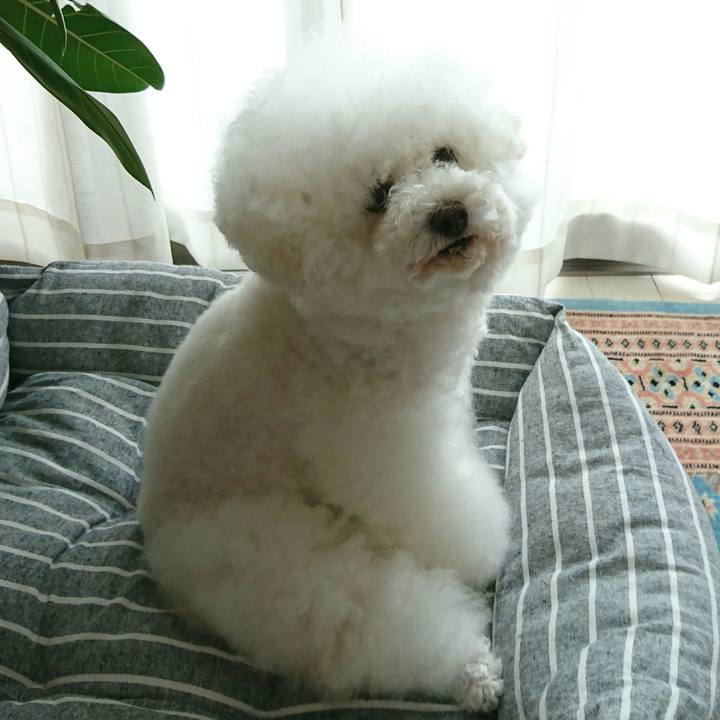 24640517 01ac 4129 a4cf 4bd6a19ed803 1535191016567