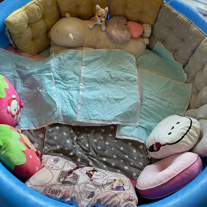 24644631 f028 4d01 a3c3 854310c56449 1683603769994