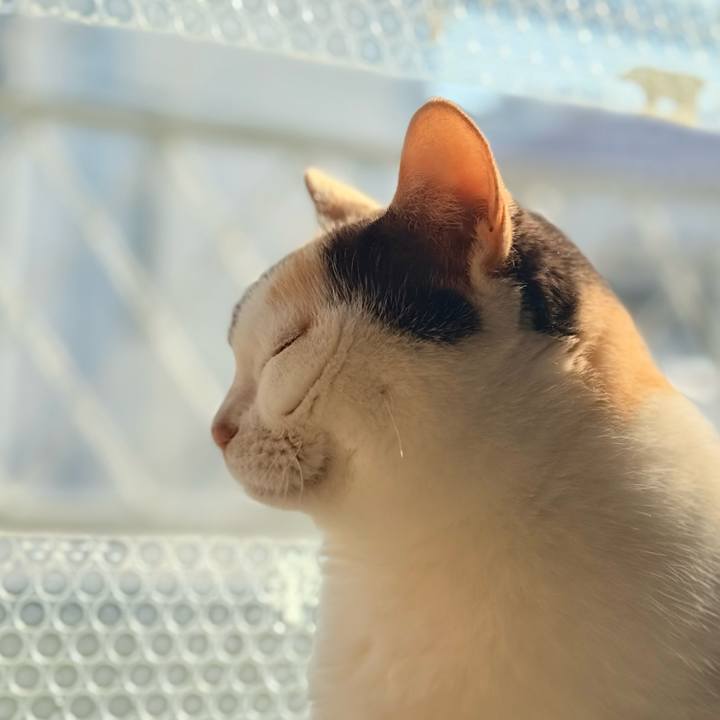 24647e89 5e05 4f51 b06d 1719dd196fef 1733016683745