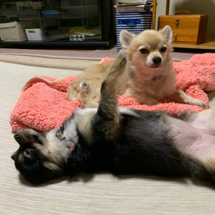 246529d1 49ac 4d2c bffd 088373fb3f90 1633867767154