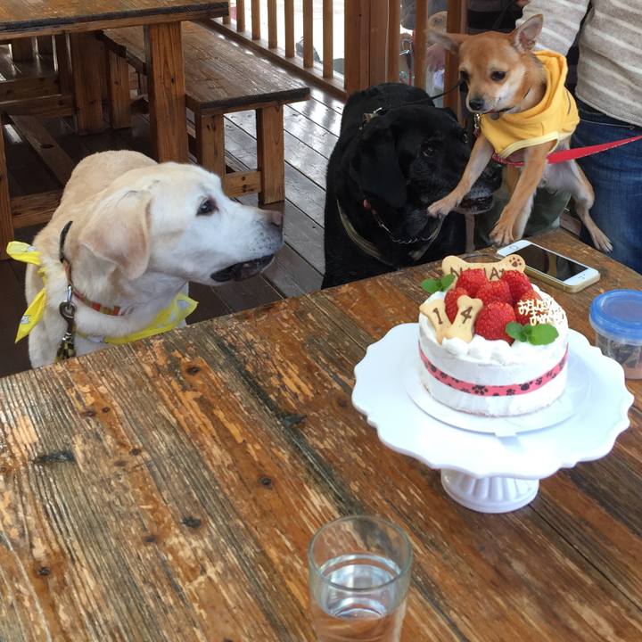 246546f2 5988 4131 99c5 5476a9b76ce0 1606303420977