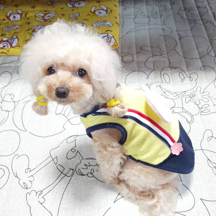 246557c7 4728 42a9 a242 19c86792fb65 1590642910496