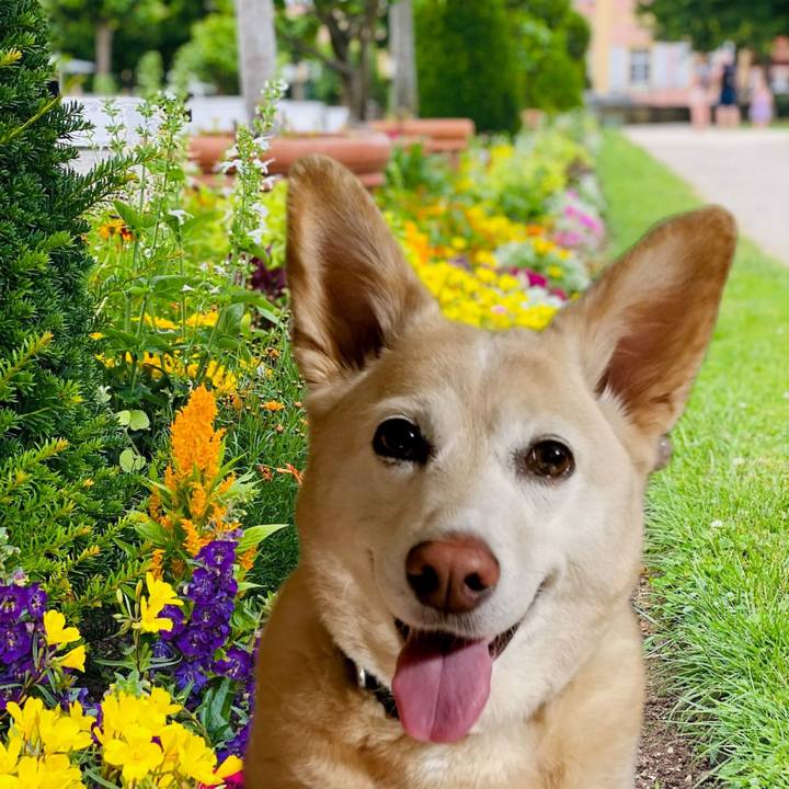 2465669c 3fc9 4d10 ba06 5752c08778cd 1706752529134