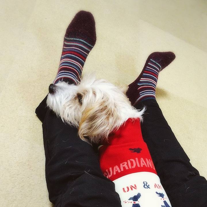 246566e8 1c18 4396 bbcf 83bccbfbc788 1575541625320