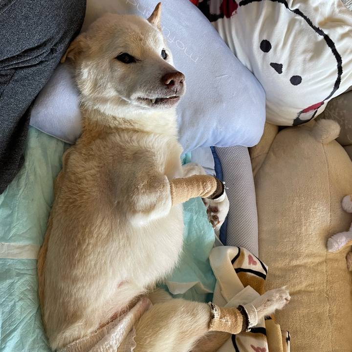 246575eb c825 4d3c b62a 131da87864c5 1680953565124