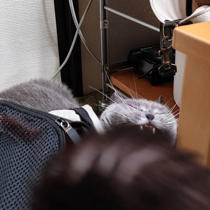 24658fd5 9dd7 4bbf ab1e 532f8089959c 1649508338113