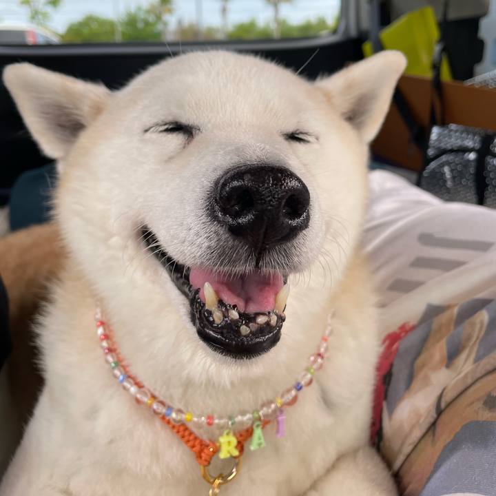 24659944 ec22 4d4a 9088 6e6511254df5 1683555633053