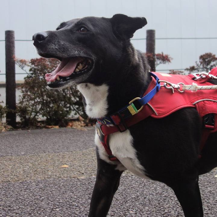 2465df1b 9ff0 4c25 bd3a 476cd5b8b8c7 1669683487501