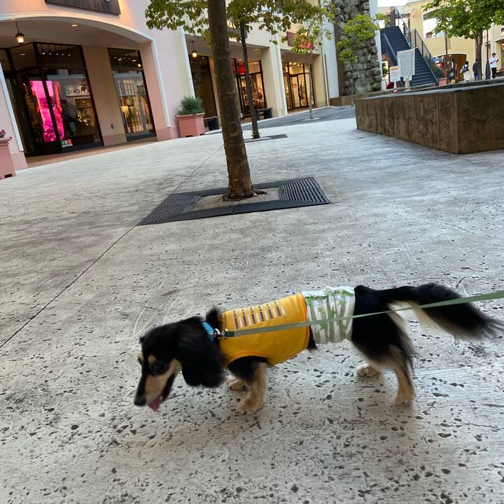 2465e8e4 79e7 44ba 853b 5d33fb107651 1726180839840