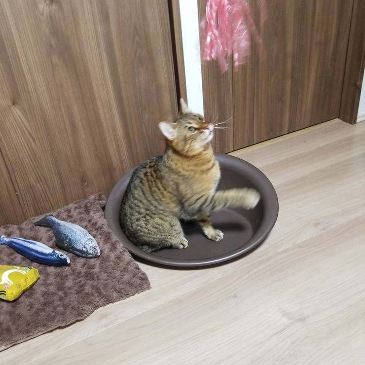 2465f3b3 0210 40c8 b55a c717e0cf98e1 1582116852040