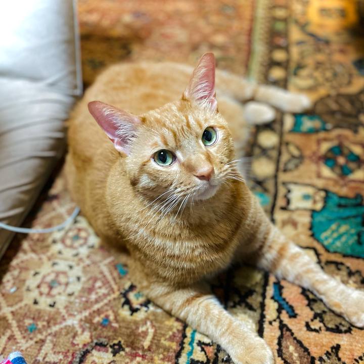 2466030d 443f 461c a26d 049e397c5d61 1632976552841