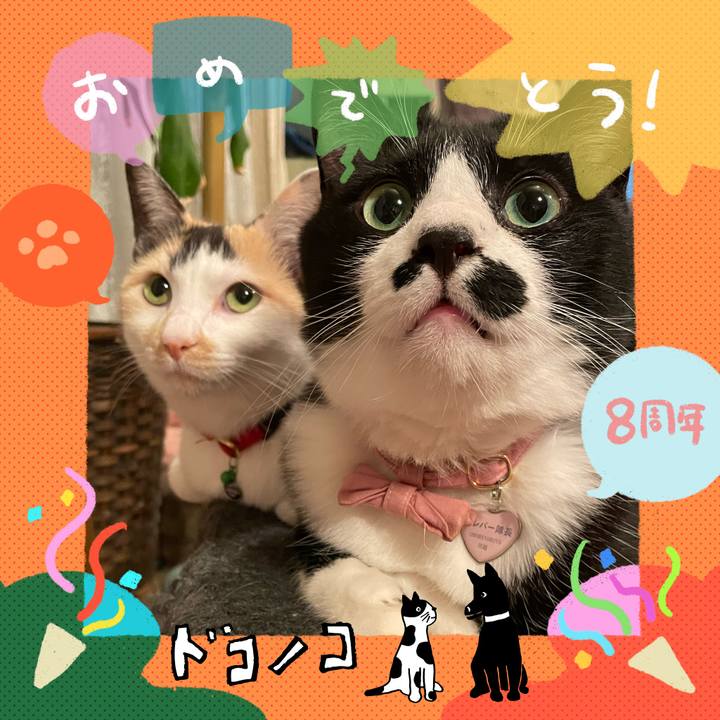 24660735 574e 48bf a847 e4b678720c09 1717563063512