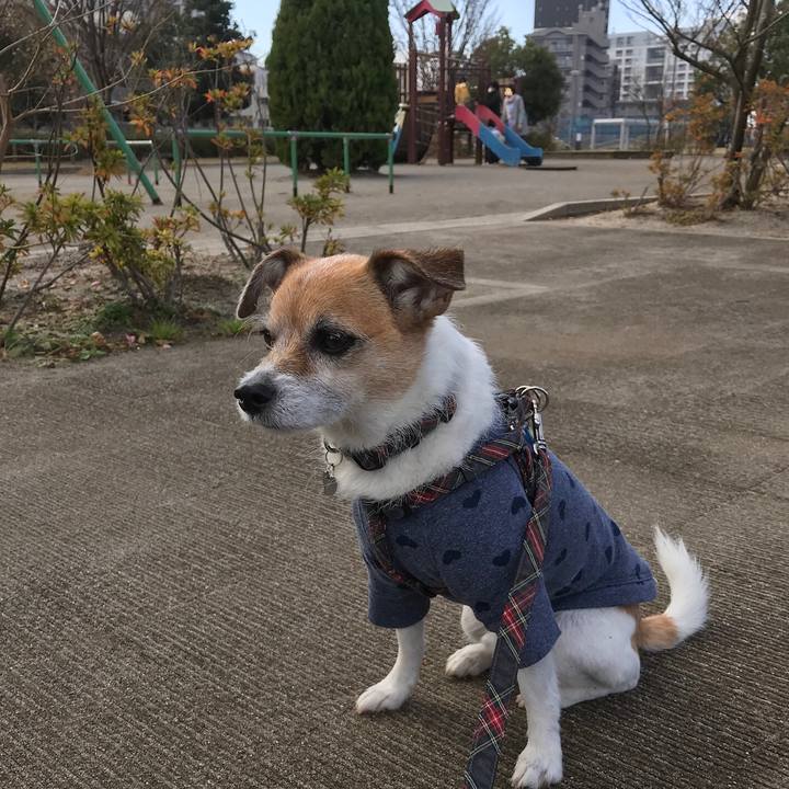 24660a03 1f28 48e9 93e1 32549a5cc522 1576633734609