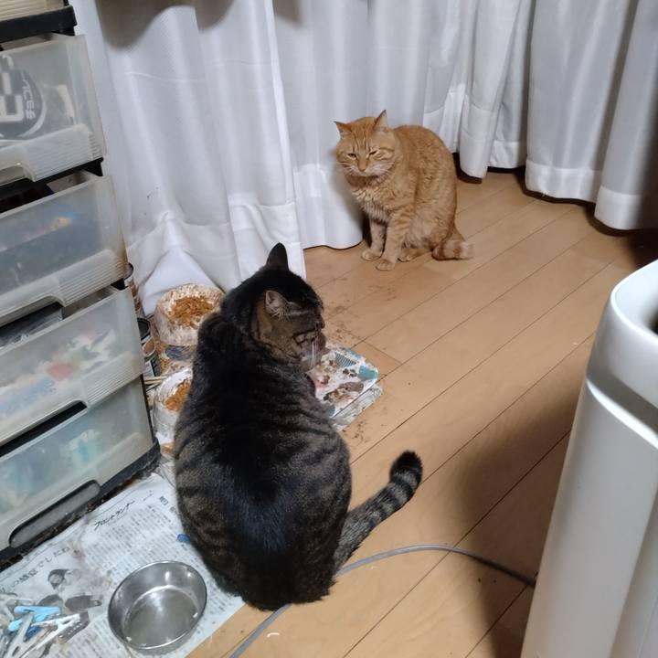 24660fcf bc03 45a3 8dc0 d204fe753131 1704014499116