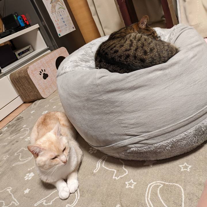 246610b3 87ad 47e1 a5cb 70a3bc8b7b0e 1696771527197