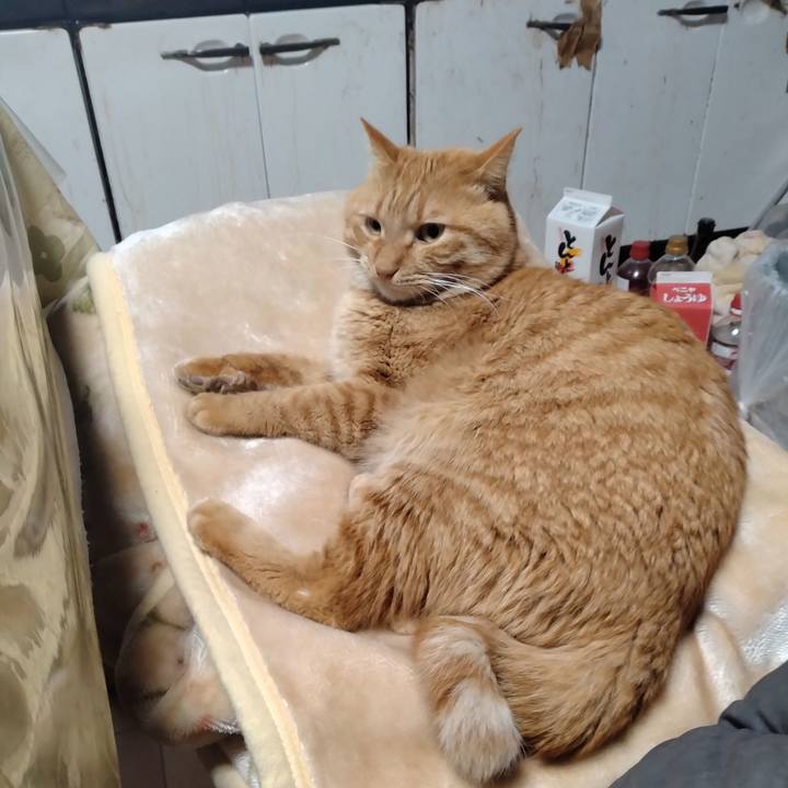 246618b3 eb74 4e24 a29c b583b8cdd252 1703287986278