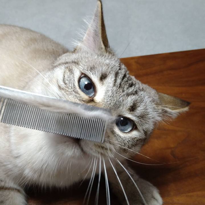 24665497 47f7 4d34 b17e 4a2a221d7d4a 1626085696338