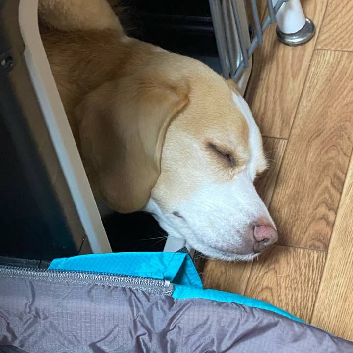 24666073 2688 4111 bcf4 8daf0445103a 1655099956739