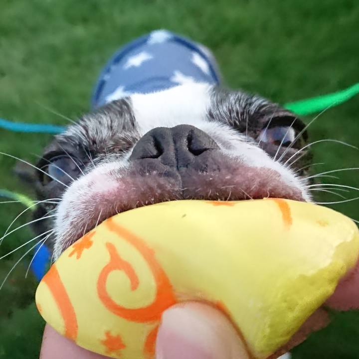 24667f66 f814 4d7d a56c e5b5029aca12 1531175993810