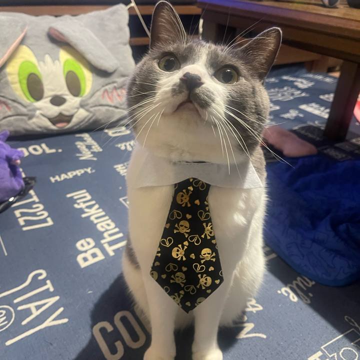 246697f2 df8d 44b4 84e5 9fc377dc9d5b 1730369481430