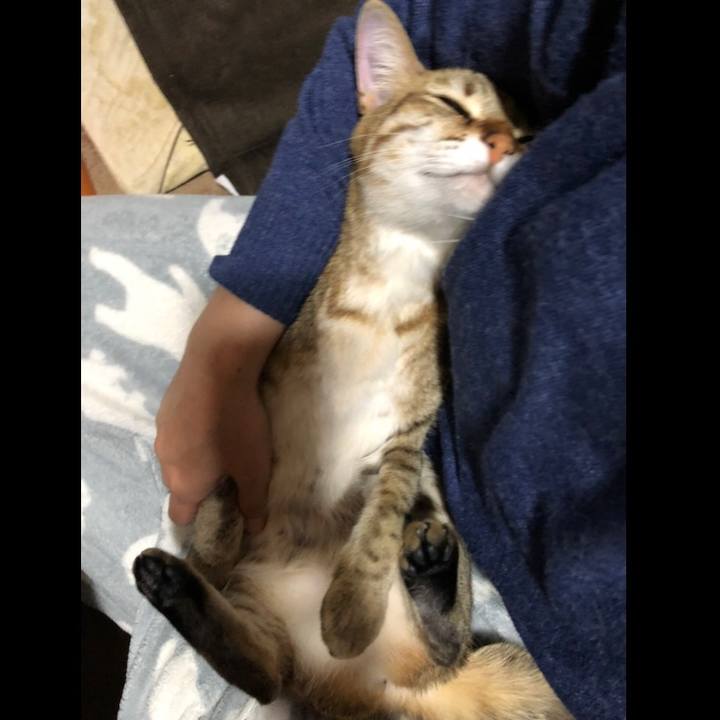 2466c574 edd9 4aab a0e3 1be59b9581a8 1617081004389