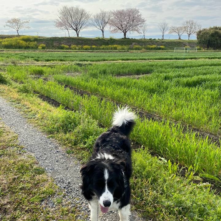 2466ce71 b3e2 4b3f a934 a66c136a70a7 1648601003933