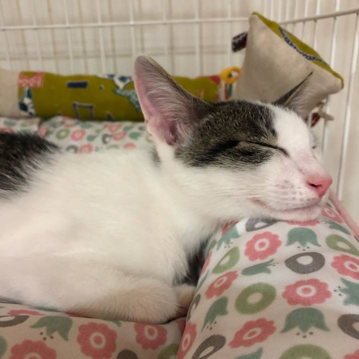 2466d902 992d 4c22 91c4 f387b9d4cdd2 1565866604864