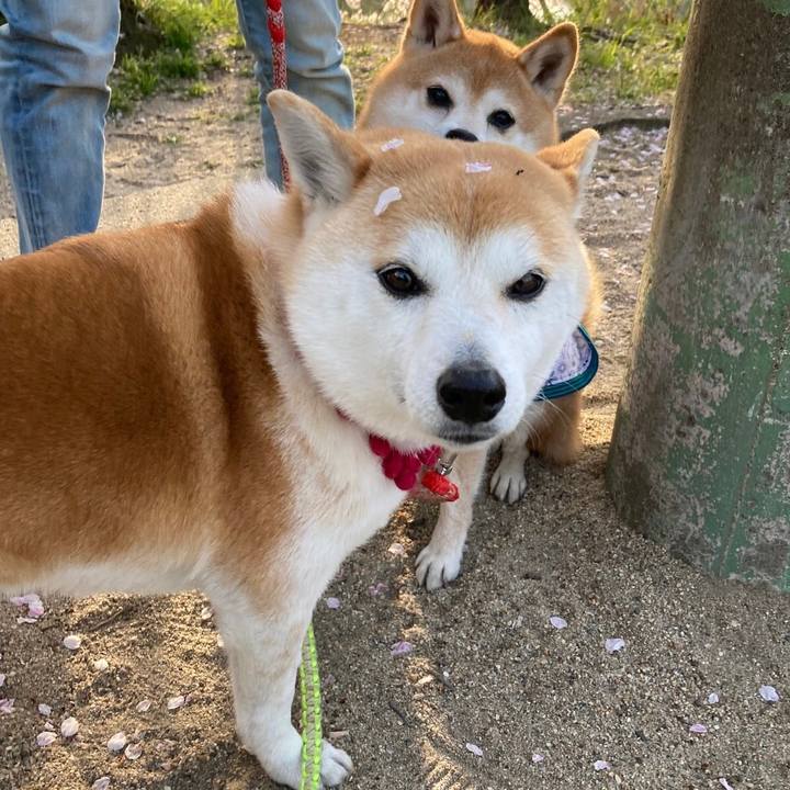 24670036 6c72 4ec5 ace0 700de3674dae 1649243854633