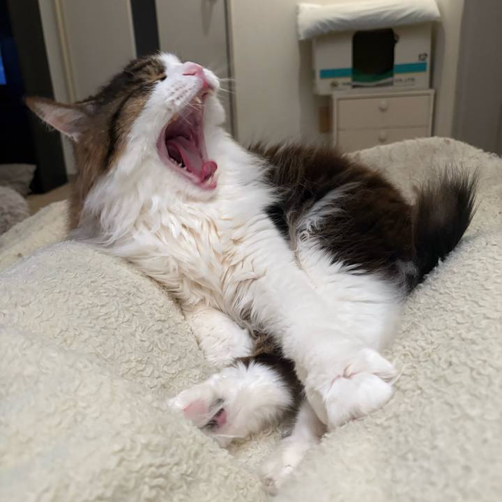 24672e5c 63c7 4417 ac17 957ffe21879d 1773702611731