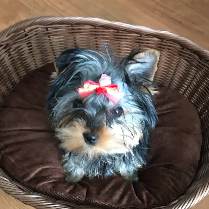 24673a75 1816 4820 a19d bf2ca9b08784 1618030291189