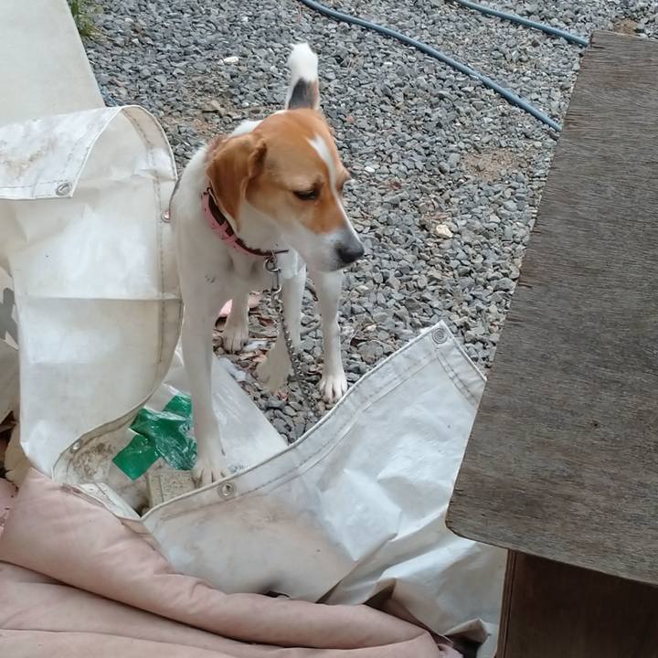 24675f08 df76 4e46 bf5c bbebf5643011 1582877485077