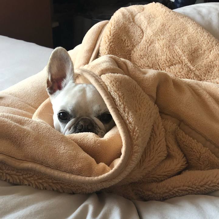 24676abb 892f 477f a1fa e7e62455835b 1586954944782