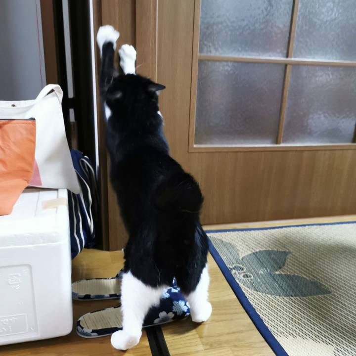 2467f210 4ffd 4692 bb60 7f1faa905945 1659337002911