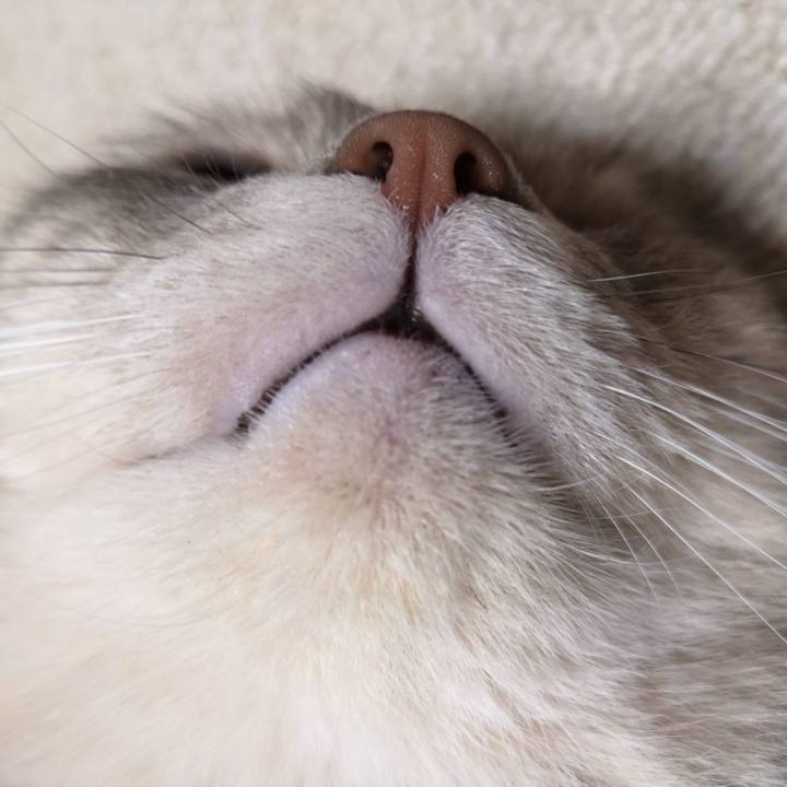 24680cd3 a7c2 4904 b2d1 eb6364a434a2 1595859454266