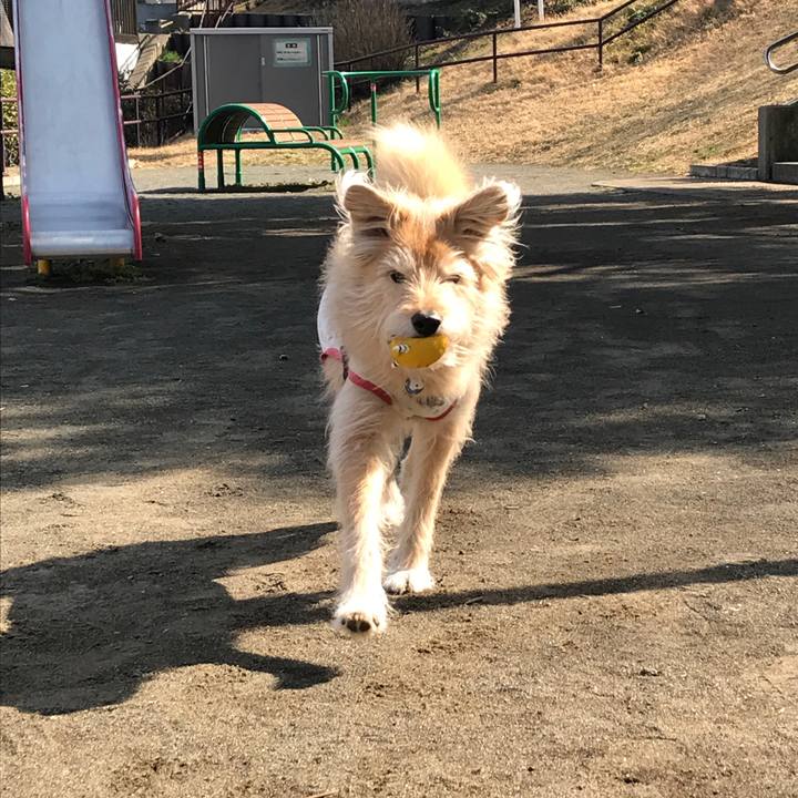 24681017 46d0 4201 9a90 c2b9adffc4d8 1550714353389