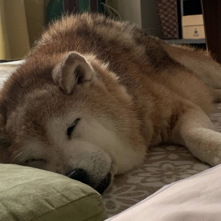 24683238 1bb7 4b52 8082 0f3483a1065e 1693383682026