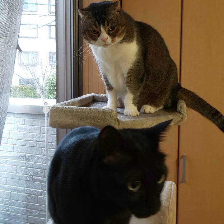 24685601 1054 4c1a 8dda a1be5743a6c8 1613780161034