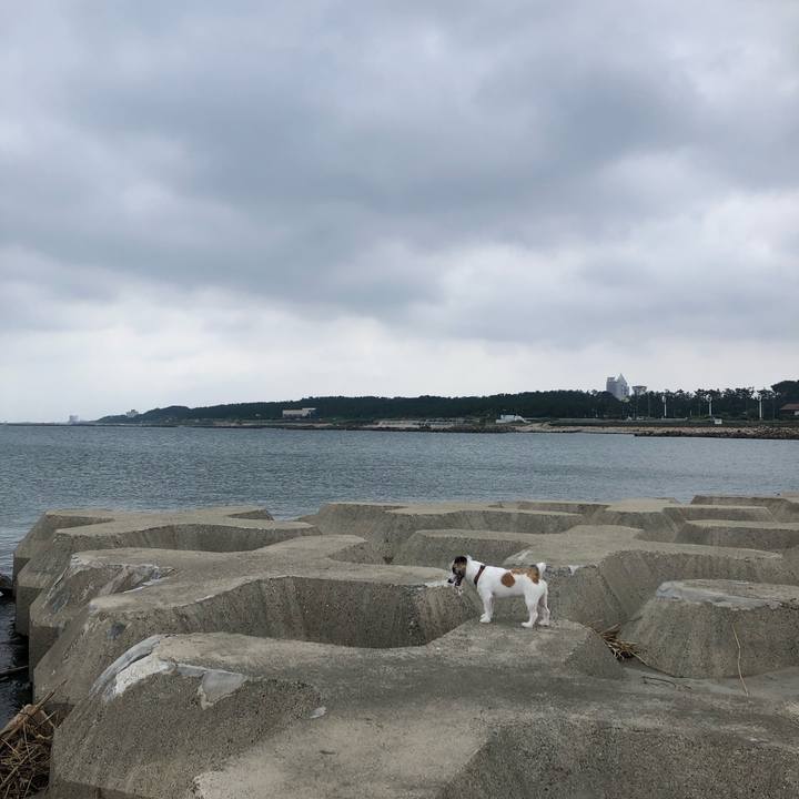 2468b091 0d3f 4c9d b822 0c5e2294b943 1597621664520