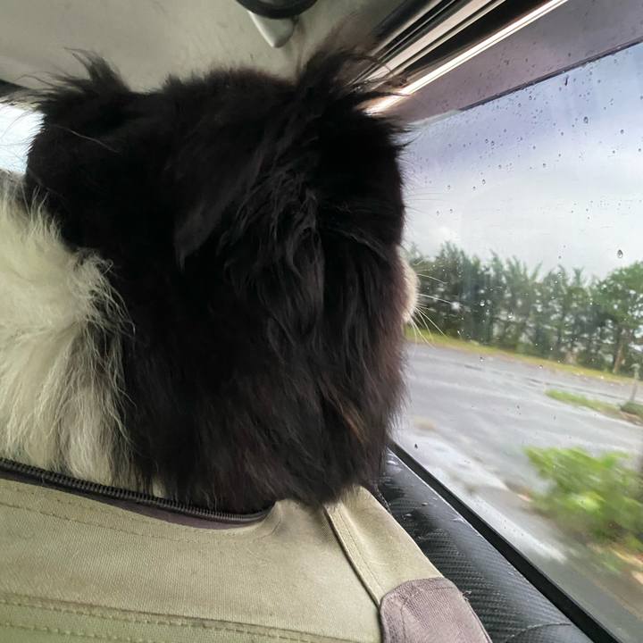 2468b25a b621 45a3 bbbb cfd8f4cae69f 1691618378406