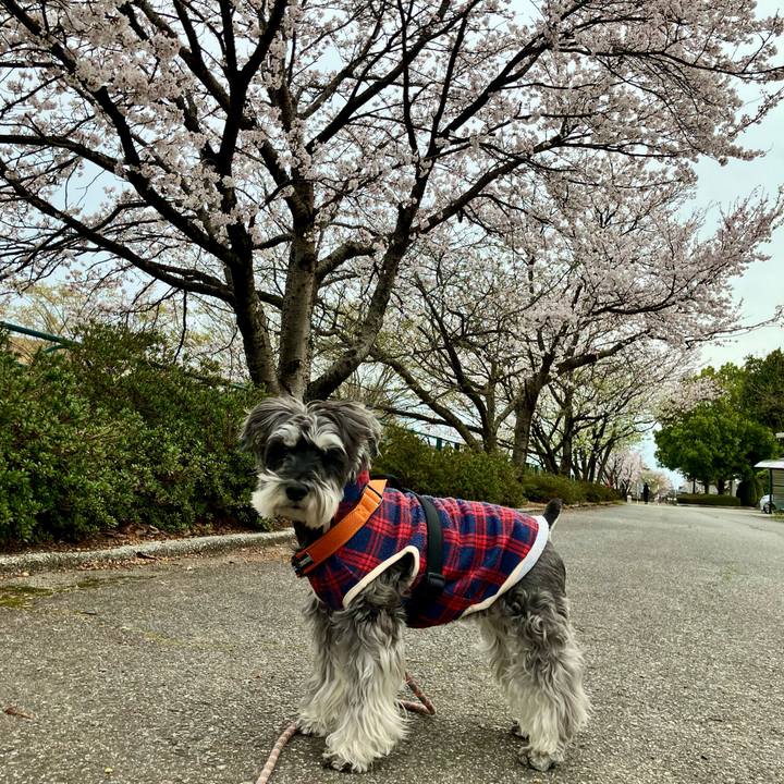 2468b7a0 3cf9 456e ae88 dde31ee18f57 1775267257603