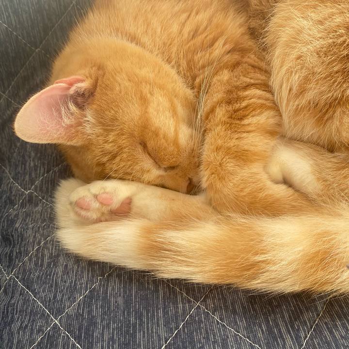 2468dbf0 3eda 4db5 89a7 85dfcd9395a7 1640918475897