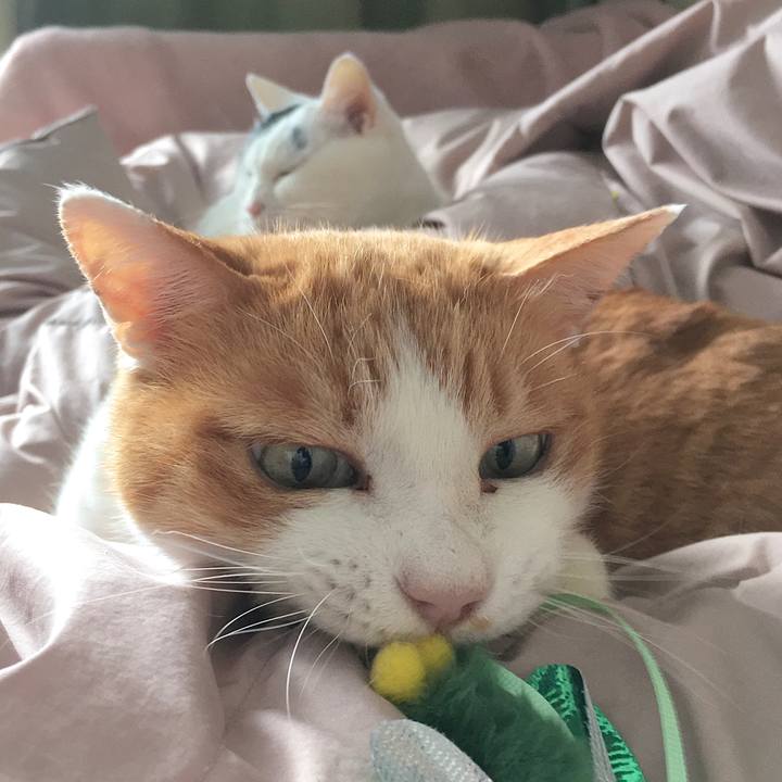 24690e47 0851 49ec 8a63 8bde0f0d6809 1610606768806