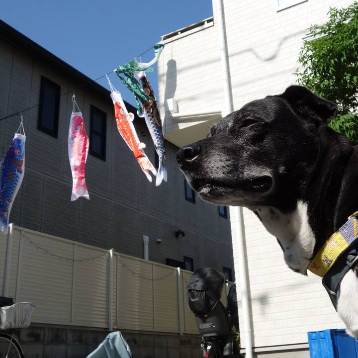 24691073 170a 436b 9217 e55e2bc147a5 1745714246863