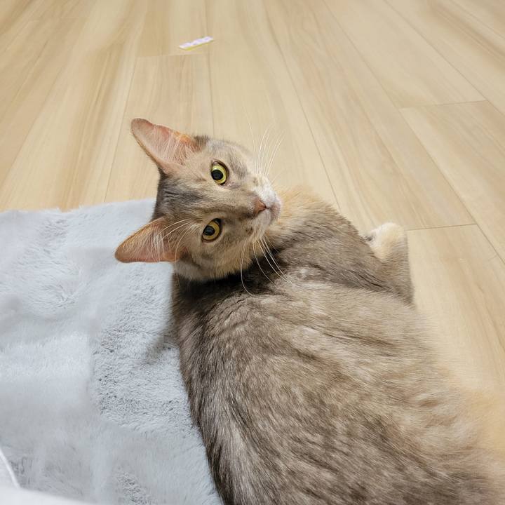 2469144c 3f70 4f8b 9b20 ba2f8b150fb6 1637643408317