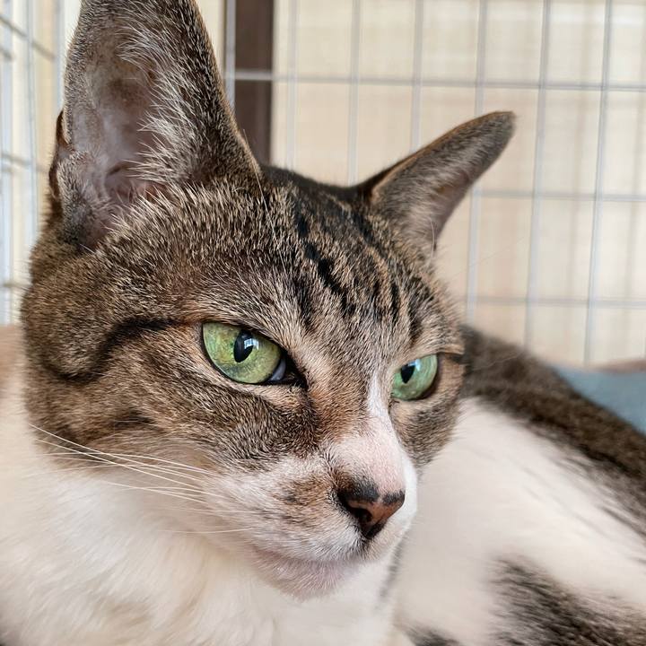 24693f24 54f7 4281 944e 049b8b34e063 1636596662727