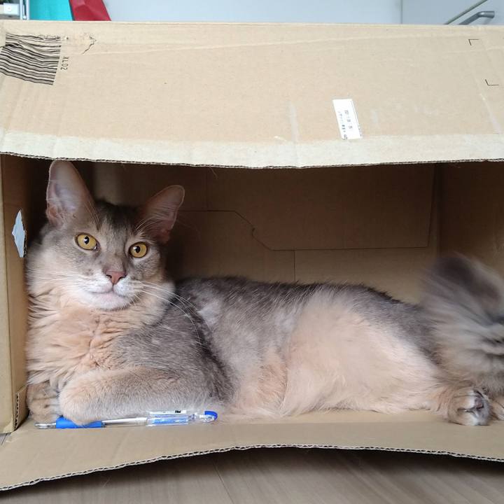 24695b04 bbe4 4d5c b60a 37f539865b1e 1625456505336