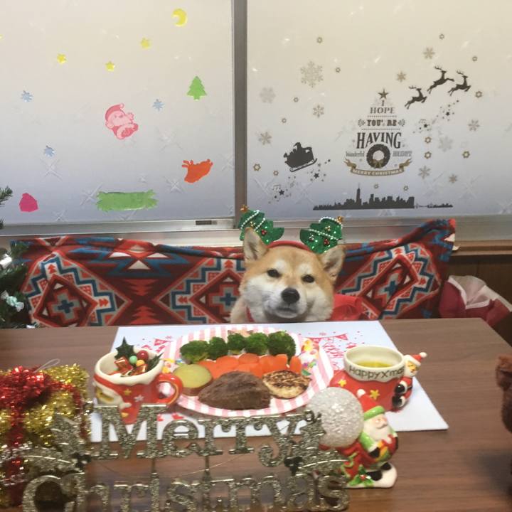 24696385 602b 42a6 b983 63d5ae5990a1 1545641428376